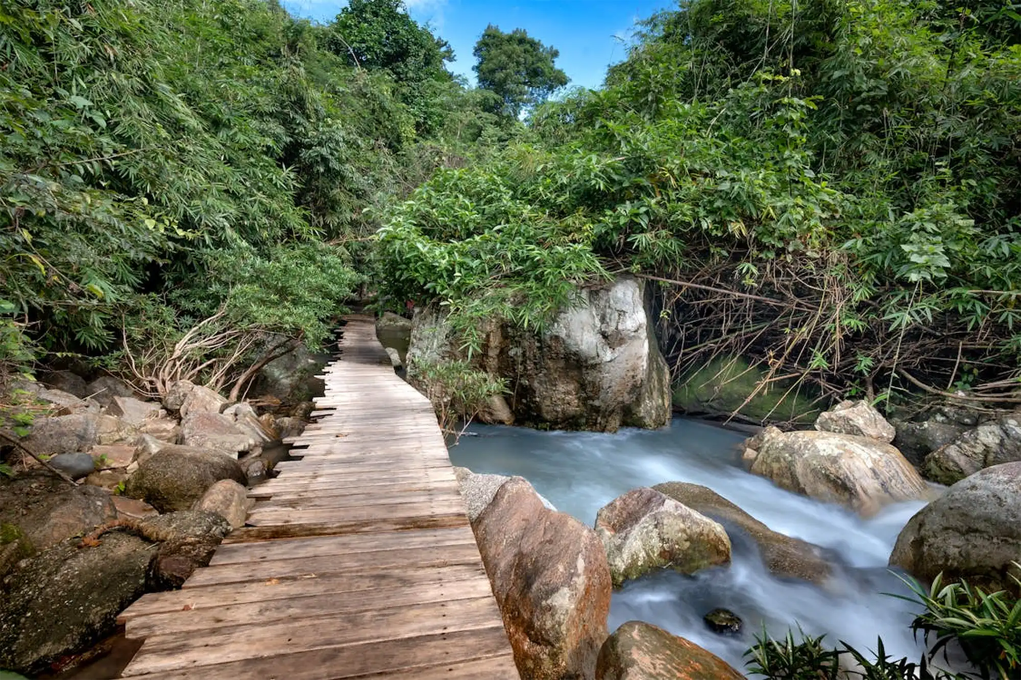 river-path.webp river-path.webp